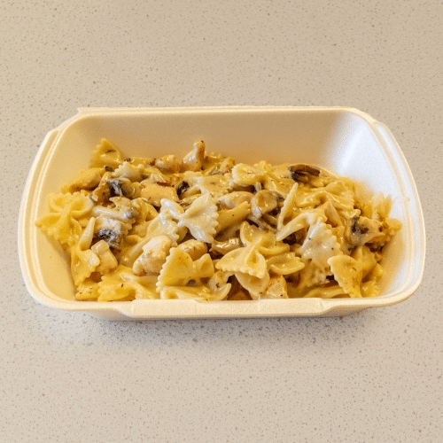 Pasta creamy pollo
